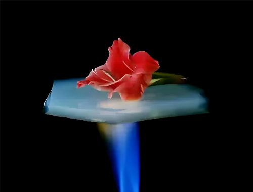 把握“十五五”节能新机遇：鼎业集团携无机阻热材料，，，，邀工业伙伴共赴节能降碳新赛道